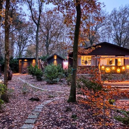 Lodge In Een Bosrijke Omgeving Met Hottub & Sauna Opt Rheezerveen المظهر الخارجي الصورة