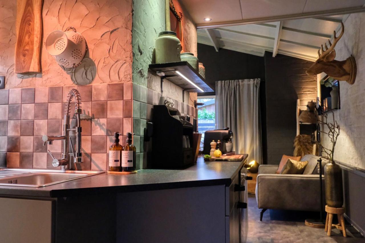 Lodge In Een Bosrijke Omgeving Met Hottub & Sauna Opt Rheezerveen المظهر الخارجي الصورة