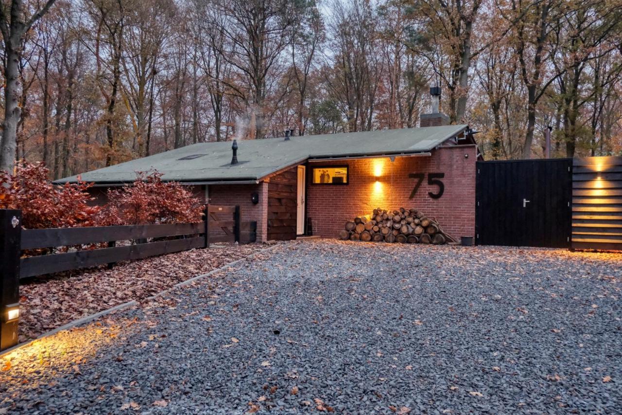 Lodge In Een Bosrijke Omgeving Met Hottub & Sauna Opt Rheezerveen المظهر الخارجي الصورة