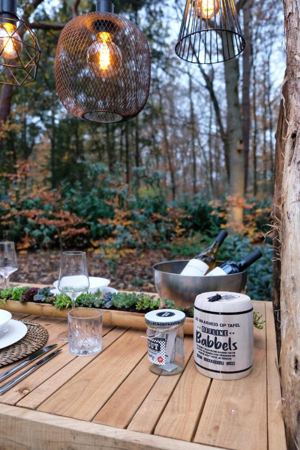 Lodge In Een Bosrijke Omgeving Met Hottub & Sauna Opt Rheezerveen المظهر الخارجي الصورة